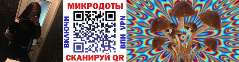 МЕГА онион Снежногорск Псилоцибиновые грибы MAGIC MUSHROOMS